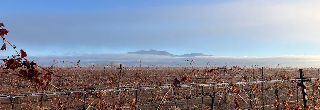 Dos Cabezas emerges from the fog