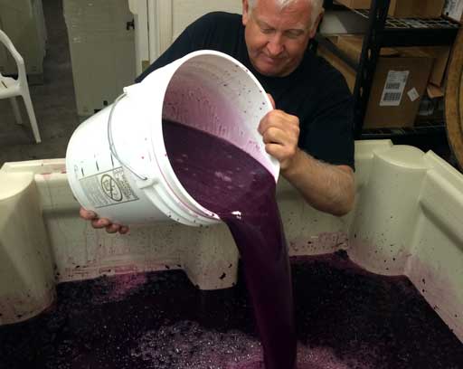Mark pouring yeast into red grape must